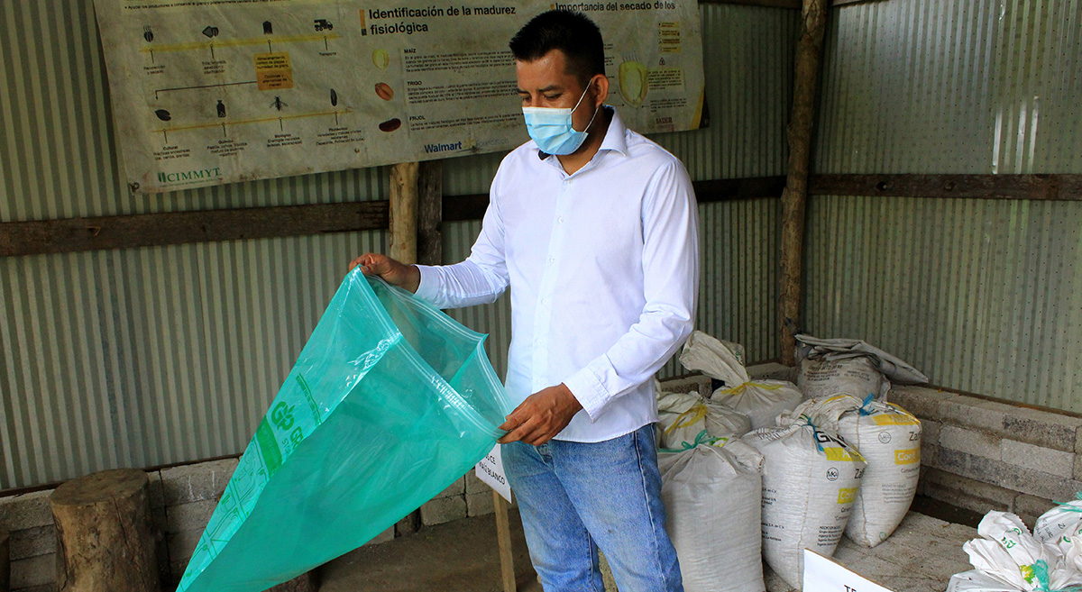 El técnico Omar Francisco Sánchez en un módulo poscosecha en el municipio de Pochutla, Oaxaca, México. (Foto: CIMMYT)