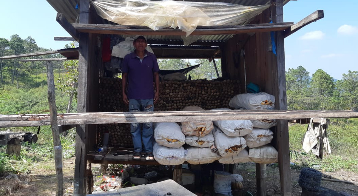 “Coscomate”, estructura de almacenamiento empleada en comunidades mixes de Oaxaca, México. (Foto: Desarrollo Agropecuario Integral Camino Real)