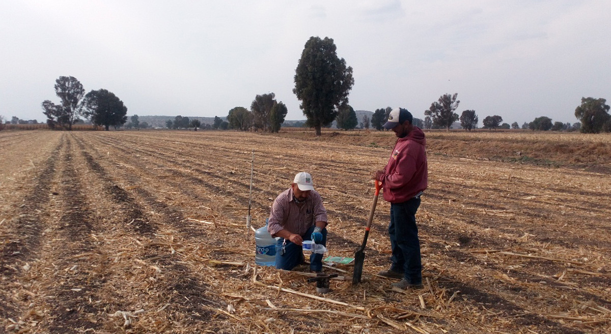 Elaboración de trabajo de infiltración y dureza del suelo. (Foto: Octaviano Pavón)