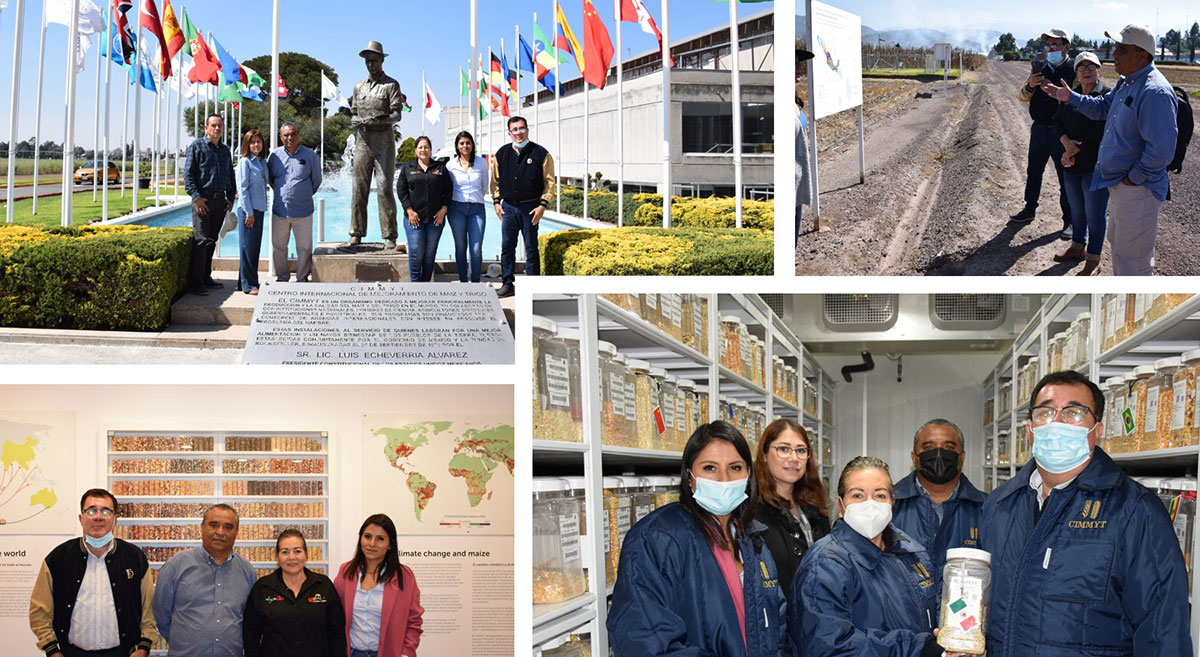 Autoridades municipales de Iguala (Guerrero, México) durante su visita a las instalaciones del CIMMYT en Texcoco, Estado de México. (Foto: CIMMYT)