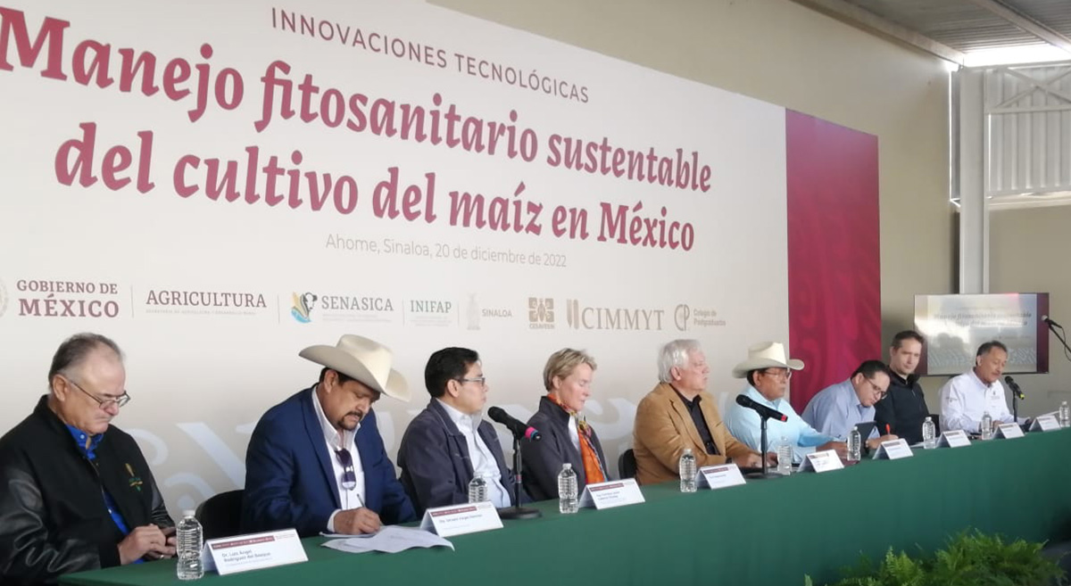 Autoridades de instituciones públicas e investigadores durante la rueda de prensa sobre manejo fitosanitario sustentable del maíz en México. (Foto: Carolina Cortez/CIMMYT)