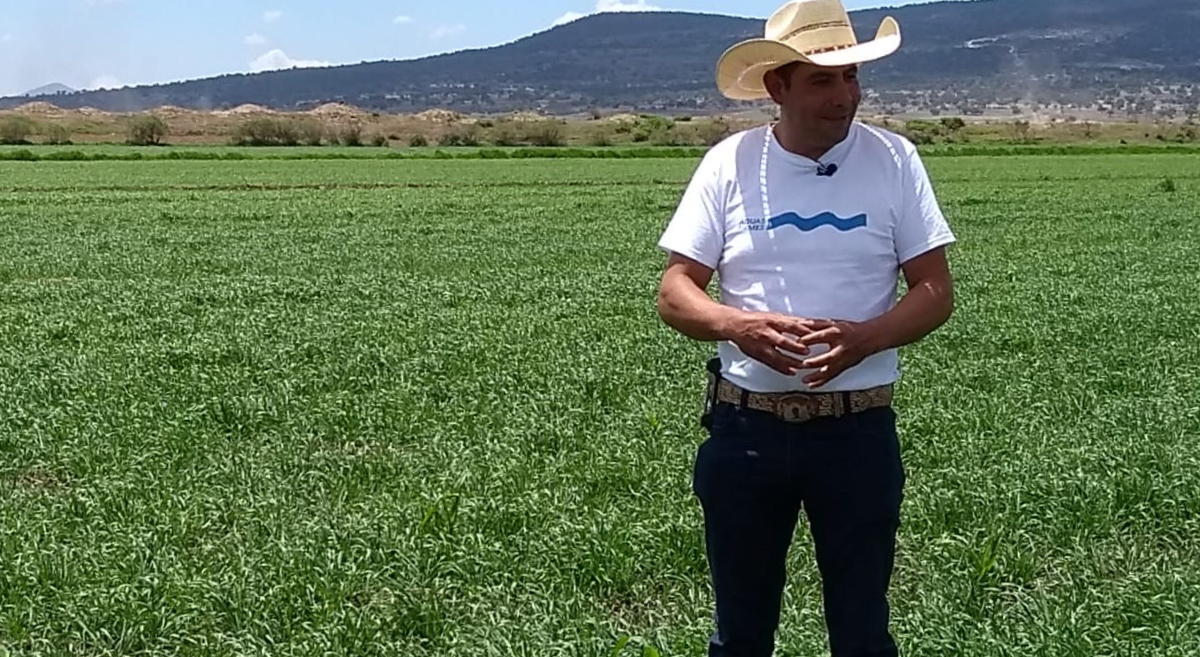 Productor de Apan, en Hidalgo, México, muestra su parcela donde cultiva cebada con agricultura de conservación. (Foto: Pilar Vázquez Martínez)