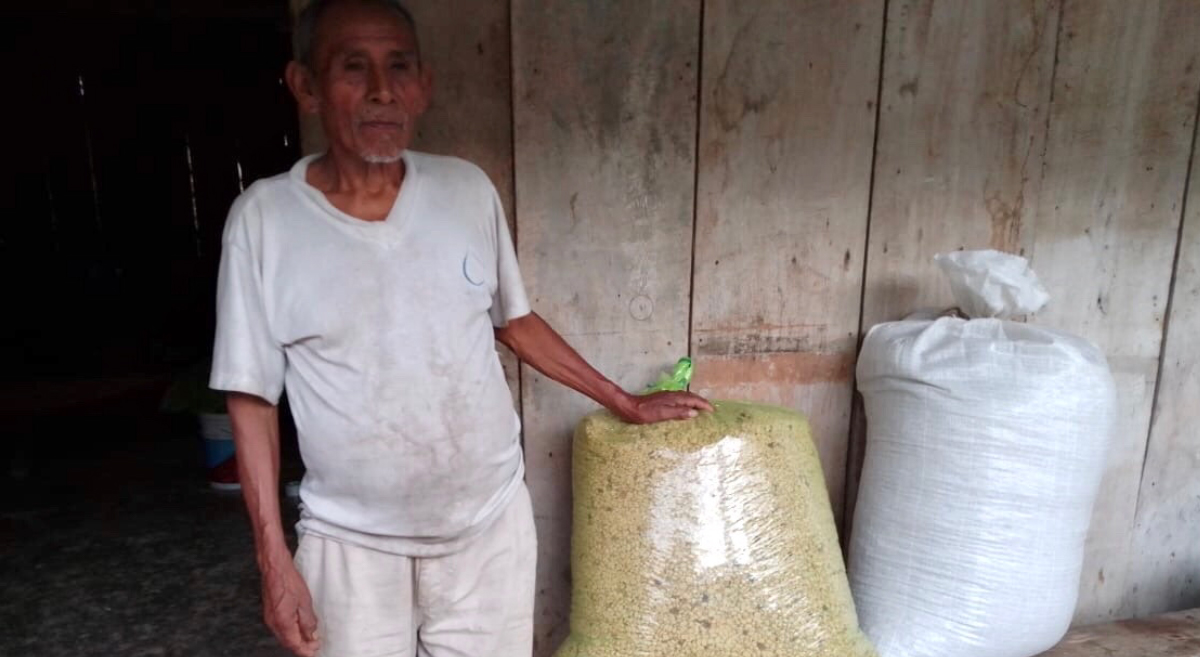 Productor de San Pedro Ixcatlán almacena grano de café en bolsa plástica hermética. (Foto: Productores Agrícolas y Pecuarios de la Mazateca Baja)