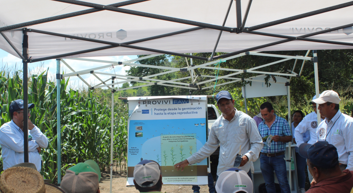 El técnico Edgar Cabrera en evento de capacitación para el uso de dispensadores de feromonas de confusión sexual en Chiapas, México. (Foto: Fernando Morales/CIMMYT)