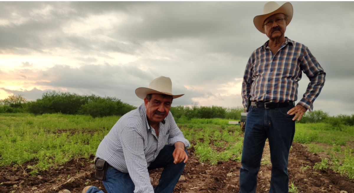 Productores durante campaña para promover una agricultura sustentable y de alta productividad en Sinaloa, México, en el marco de las alianzas estratégicas que promueve la metodología de Cultivos para México. (Foto: Hub Pacífico Norte-CIMMYT)
