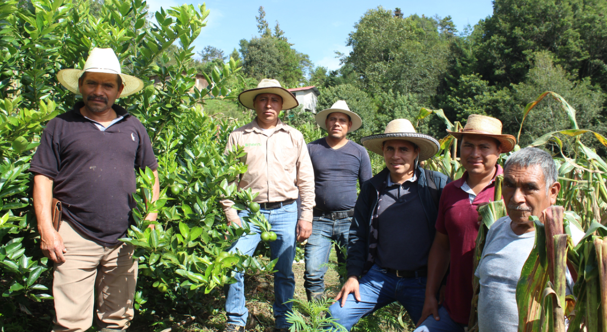 Productores de Larráinzar, Chiapas (México) y técnicos del Hub Chiapas del CIMMYT. (Foto: Fernando Morales)