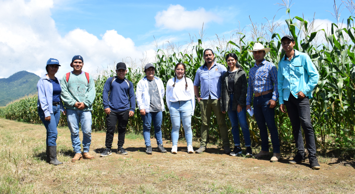 Estudiantes y egresados del área de agronomía de la Universidad de Ciencias y Artes de Chiapas, en la plataforma de Investigación Villa Corzo (de la red de innovación que impulsa el CIMMYT), donde desarrollan prácticas e investigaciones. (Foto: Fernando Morales/CIMMYT)
