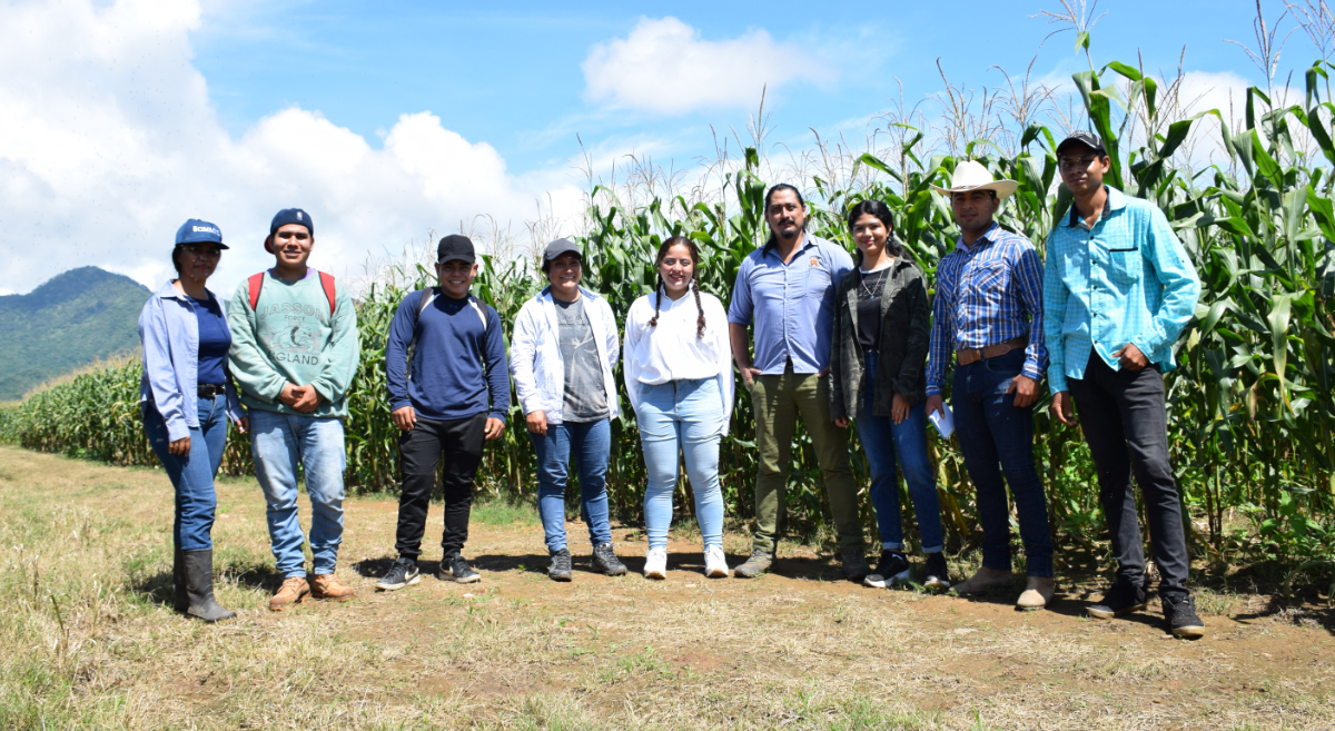 Impulsar las vocaciones y la investigación en agronomía – CIMMYT