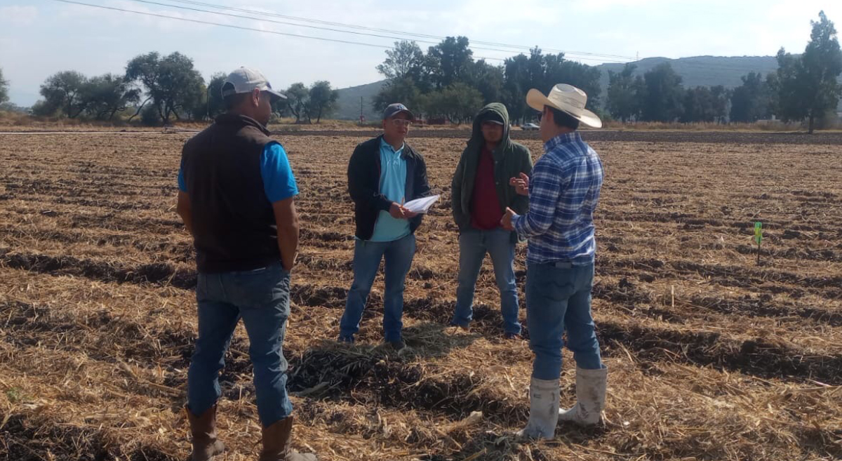 Recorrido por parcelas de productores participantes en el proyecto Agriba Sustentable en el Bajío (México) (Foto: Agriba Sustentable)