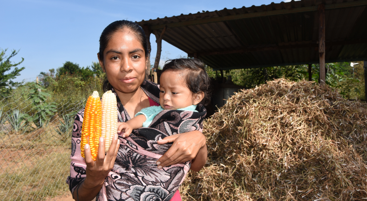 Luisa Chonteco, agricultora de La Pe Ejutla, en Oaxaca, México. (Foto: Francisco Alarcón/CIMMYT)