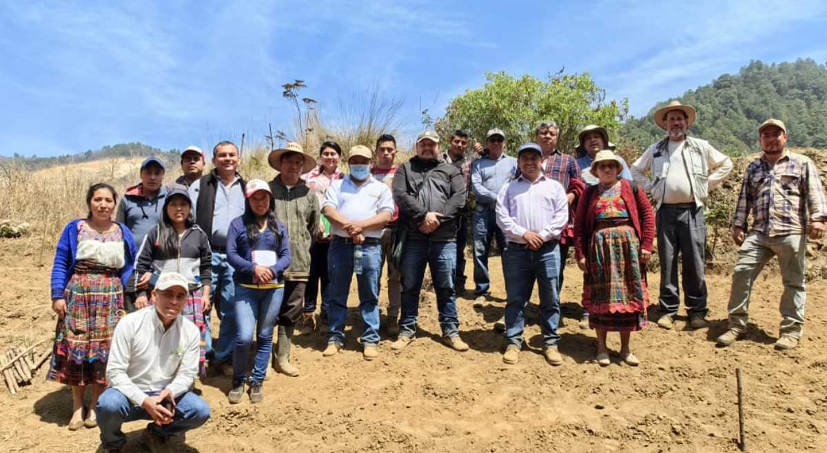 Integrantes de organizaciones guatemaltecas durante una práctica de agricultura sustentable. (Foto: CIMMYT)