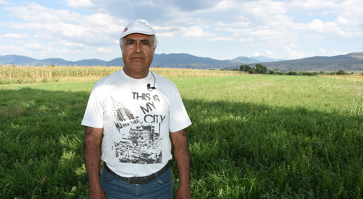 El productor Jerónimo Díaz de la Ciénega de Zimatlán, en Oaxaca, México. (Foto: Francisco Alarcón / CIMMYT)