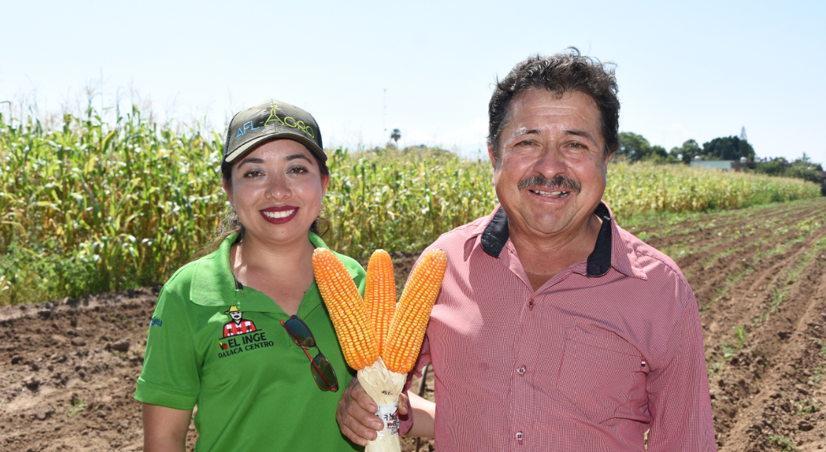 Productores de maíz en Oaxaca, México. (Foto: CIMMYT)