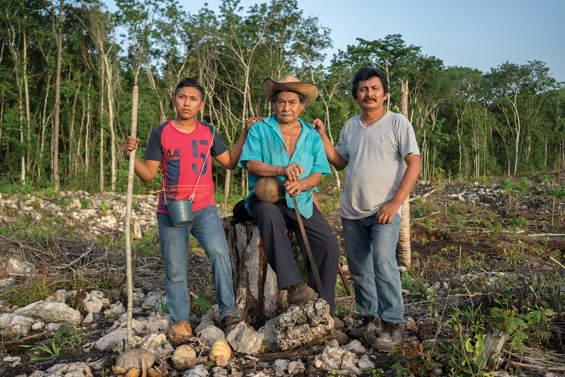 Background image for CIMMYT