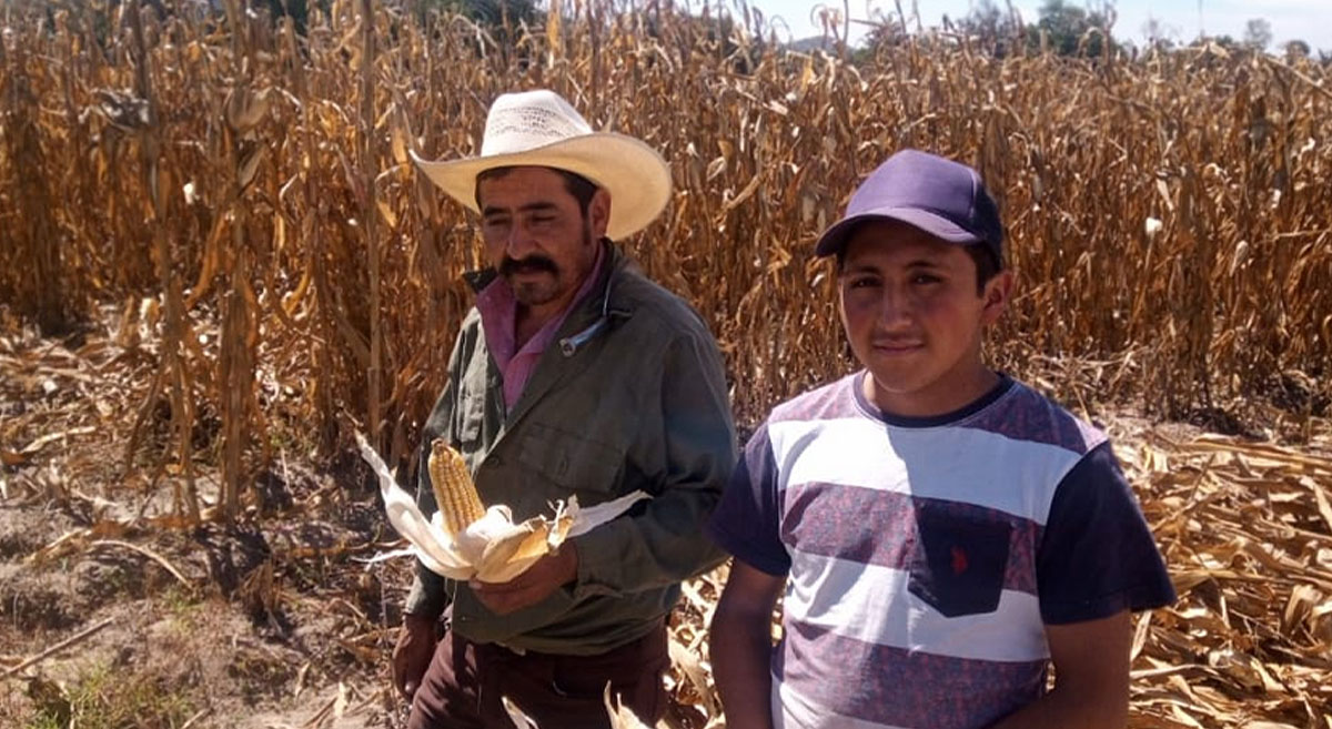 Productores de La Gruta, Teotihuacan, Estado de México. (Foto: Hub Valles Altos-CIMMYT)