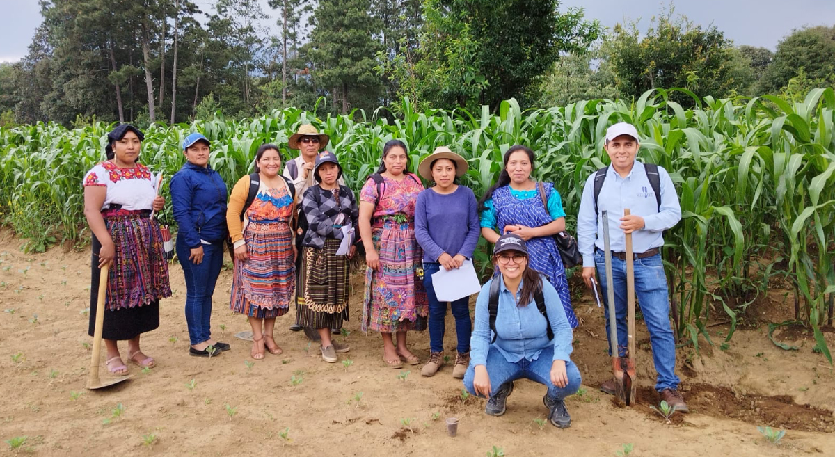 Participantes del InnovaHub Occidente de Guatemala durante los talleres de capacitación impartidos por el CIMMYT. (Foto: Hub Chiapas-CIMMYT)