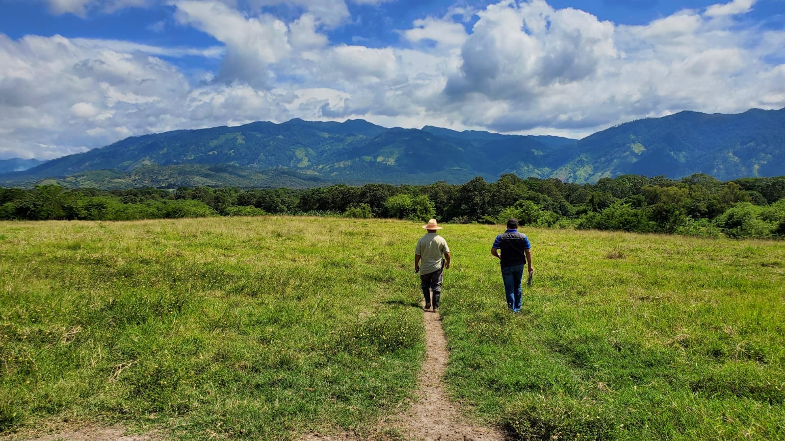 Campo agrícola en Honduras. (Foto: Instituto Nacional Agrario de Honduras)