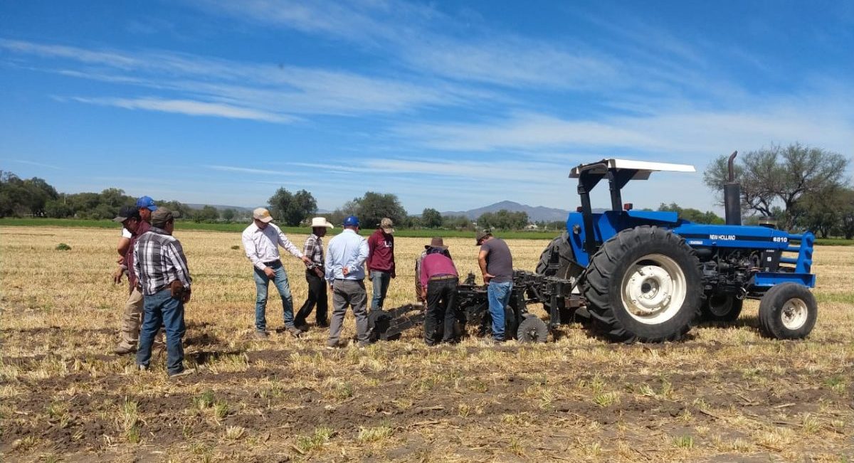 Agricultores de Hidalgo siendo asesorados por técnicos del Hub Valles Altos del CIMMYT. (Foto: Hub Valles Altos-CIMMYT)