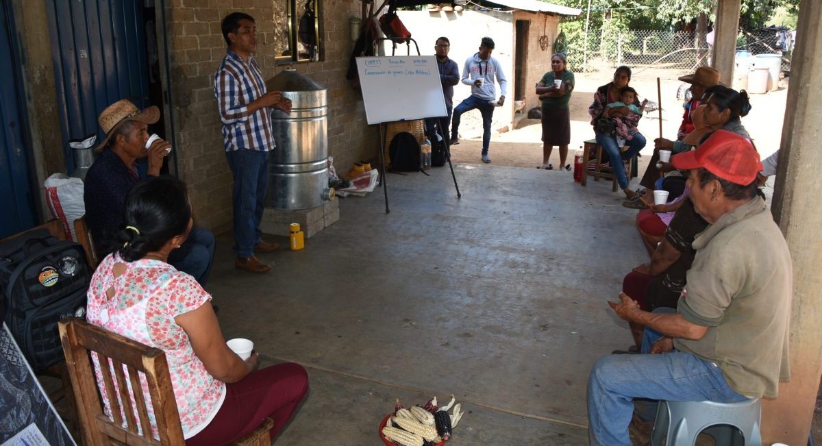 Capacitación en poscosecha en Oaxaca, México. (Foto: Francisco Alarcón / CIMMYT)