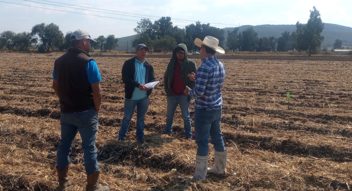Técnicos de Agriba Sustentable durante asesoría a productores. (Foto: CIMMYT)