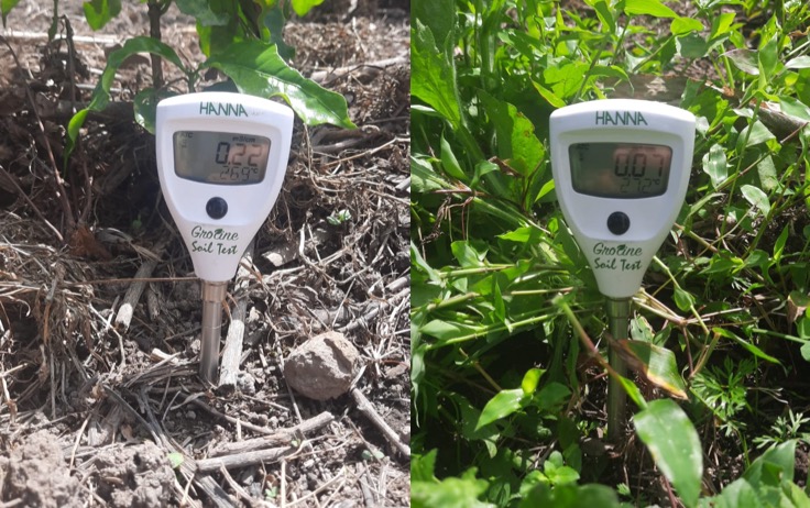 Medición del contenido de sales y la conductividad eléctrica en parcelas con y sin cobertura vegetal. El Paraíso, Honduras. (Foto: Olvine Amador)