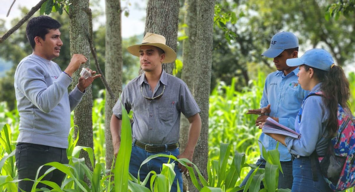 Capacitación en manejo agroecológico de plagas en el marco de los primeros trabajos del InnovaHub Oriente de Honduras. Foto: (InnovaHub Oriente)