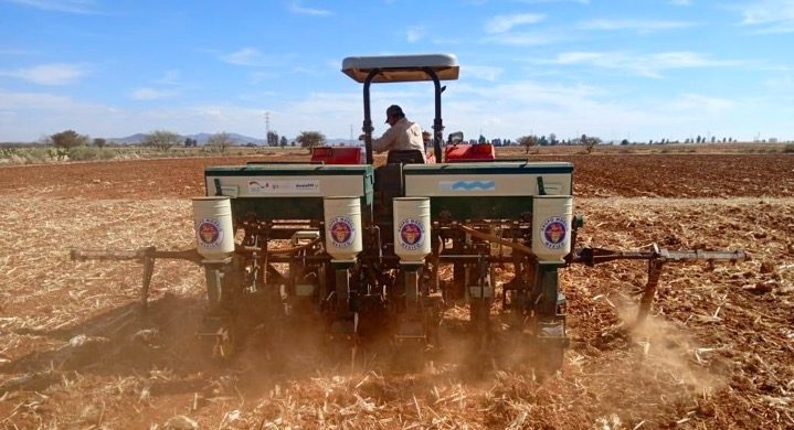 Siembra directa de avena en rastrojo de maíz con el productor Héctor Gutiérrez en la Magueyera, Calera, Zacatecas el 3 de febrero de 2023. (Foto: Julio César González)