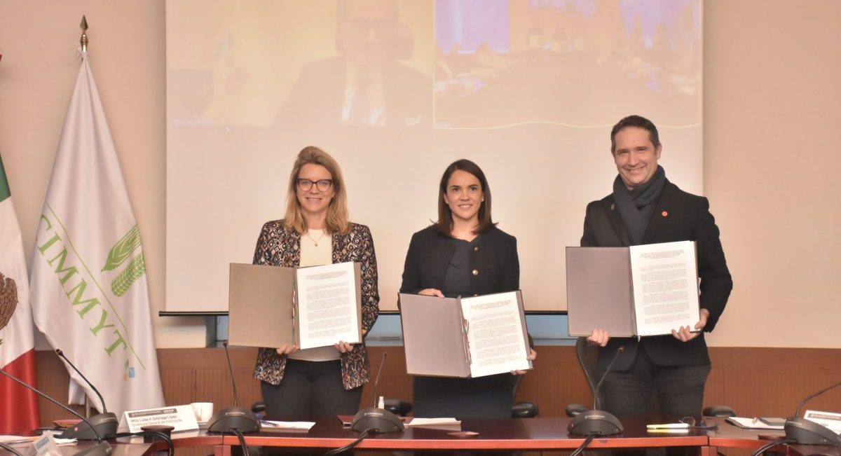 De izquierda a derecha: Ragnhild Imerslund, Embajadora de Noruega en México; Gloria Sandoval, Directora Ejecutiva de la AMEXCID; y Bram Govaerts, Director General del CIMMYT, durante la firma de la Carta de Intención en la Secretaría de Relaciones Exteriores de México. (Foto: Jenifer Morales / CIMMYT)