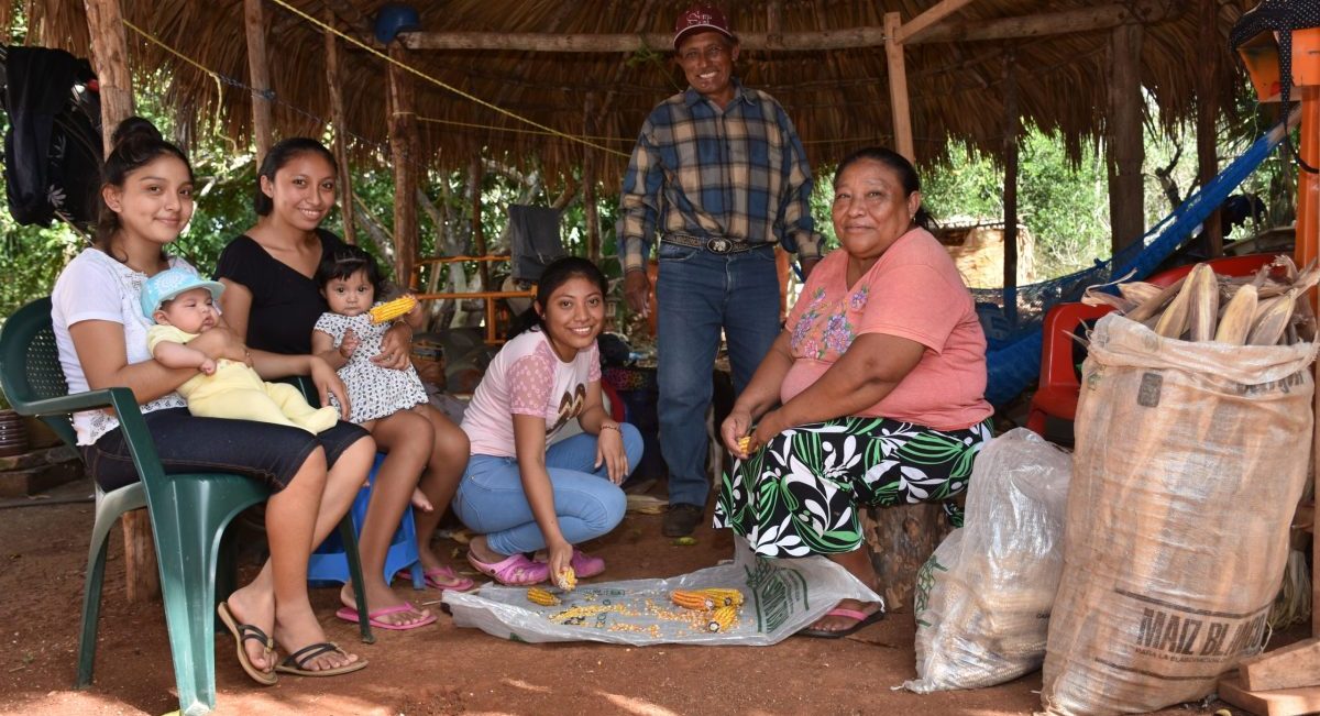 Familia productora de la Península de Yucatán. (Foto: Fernando Morales / CIMMYT)