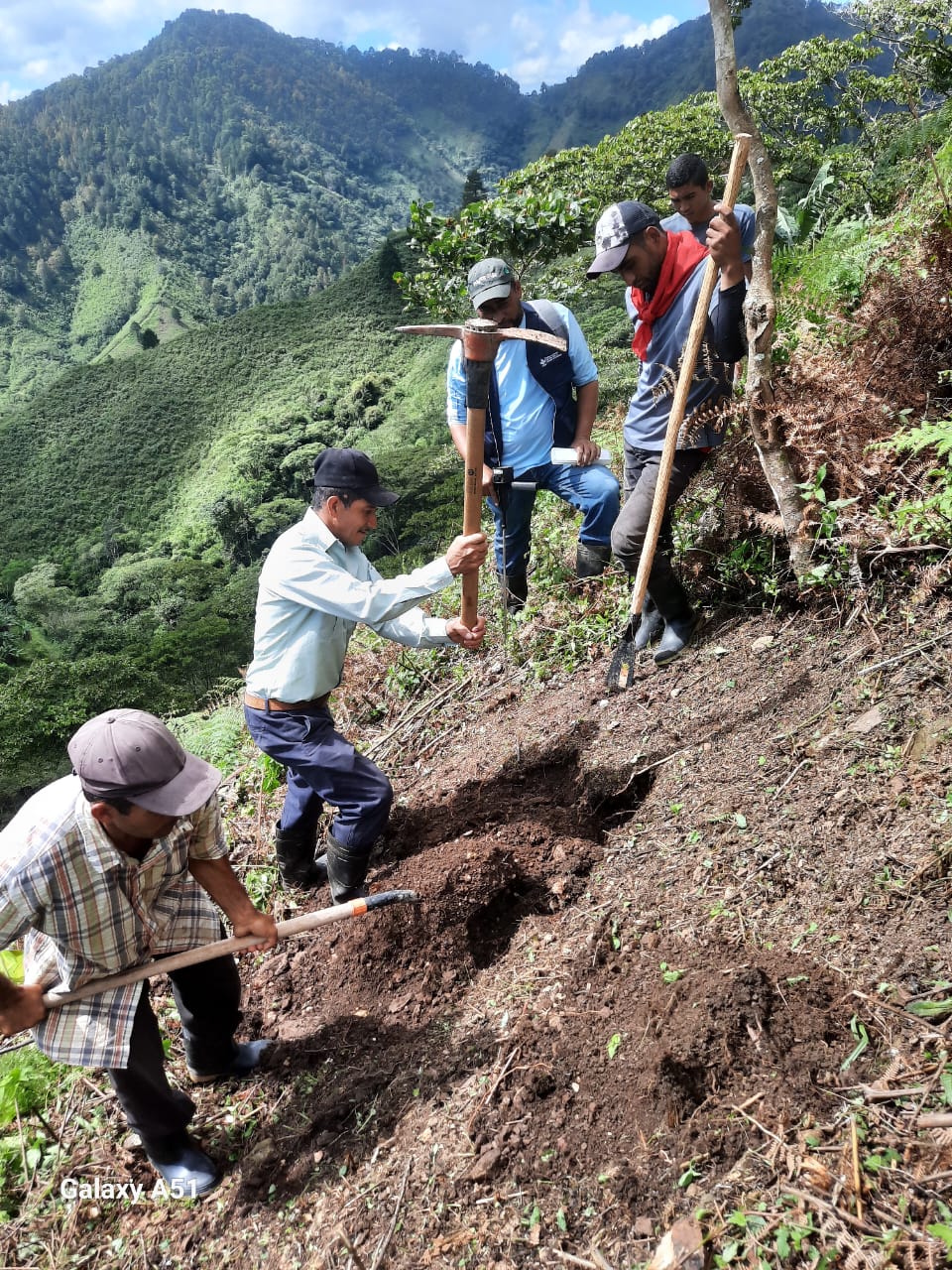Trabajo con productores en el InnovaHub Oriente de Honduras. (Foto: Olvine Amador)