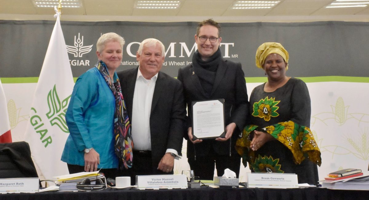 De izquierda a derecha: Margaret Bath, Víctor Villalobos, Bram Govaerts y Alice Ruhweza durante la sesión de cierre de año del Consejo Directivo del CIMMYT. (Foto: CIMMYT)