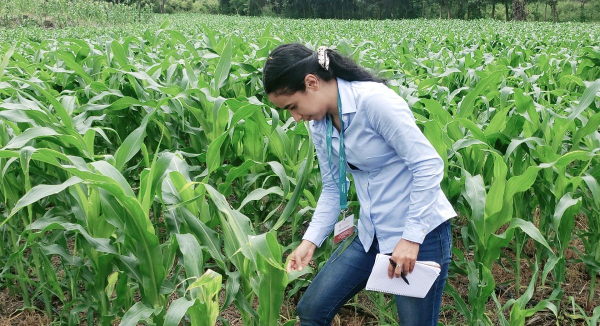 Miriam Torres en actividades en campo en el Oriente de Honduras. (Foto: Miriam Torres)