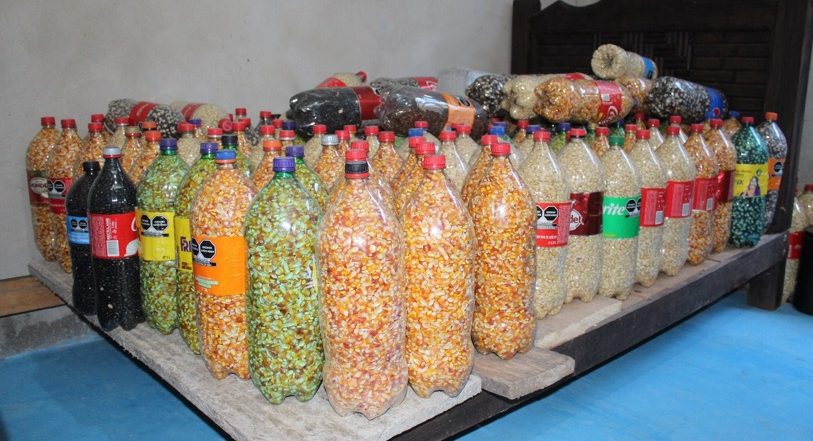 Envases de PET reutilizados para la conservación de granos de maíz y frijol, Ejido San Martín Chamizal, Palenque, Chiapas. 5 de febrero 2024. (Foto: Hub Chiapas-CIMMYT)