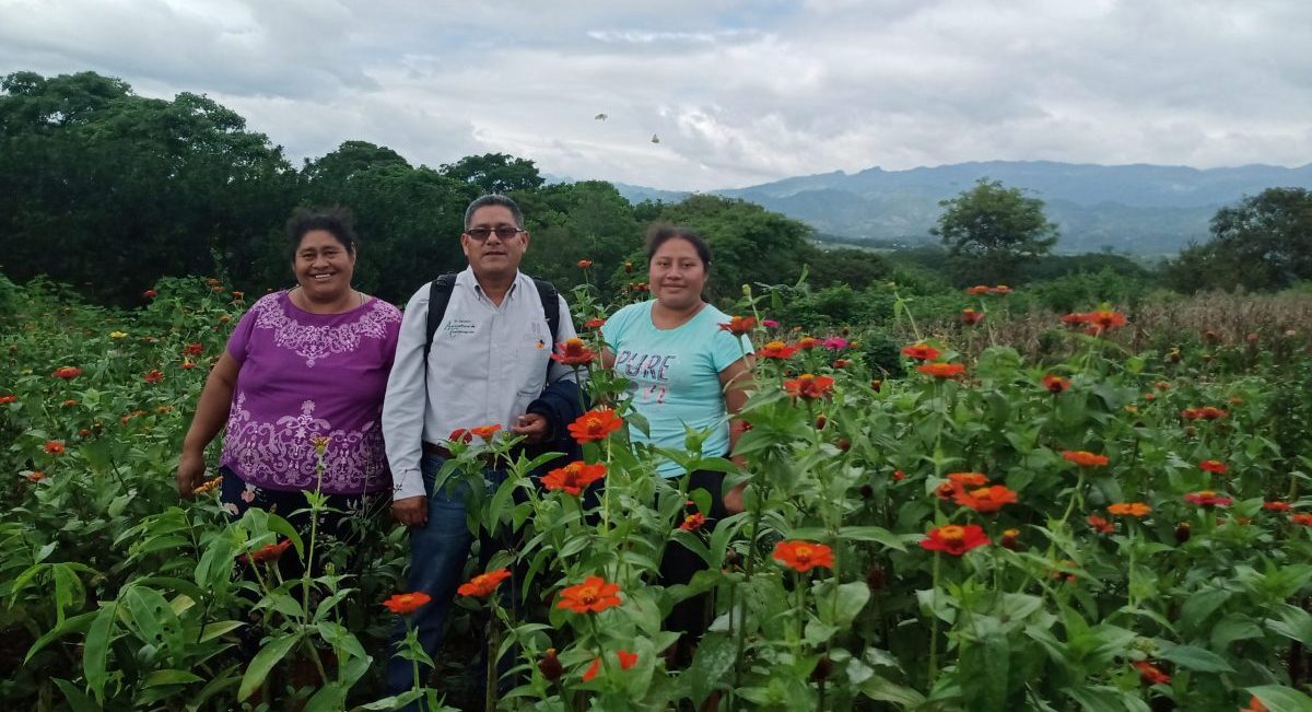 Doña Juanita, indígena Tzeltal, La Providencia, Ocosingo, Chiapas. (Foto: García, Ramírez y Meentzen)