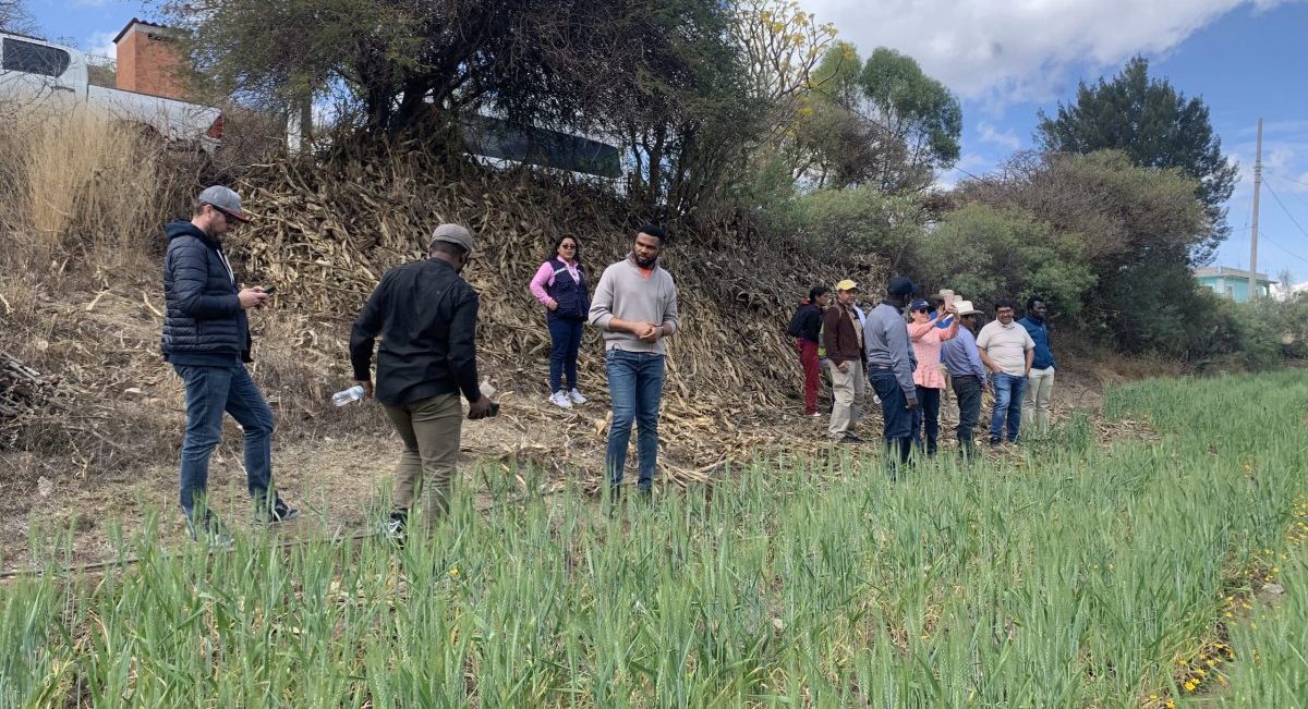 Recorrido por módulos del Hub Pacífico Sur de CIMMYT. (Foto: Hub Pacífico Sur-CIMMYT)