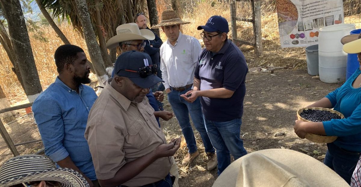 Directivos de la iniciativa Excelencia en Agronomía visitando plataformas y módulos del Hub Pacífico Sur de CIMMYT en Oaxaca, México. (Foto: CIMMYT)