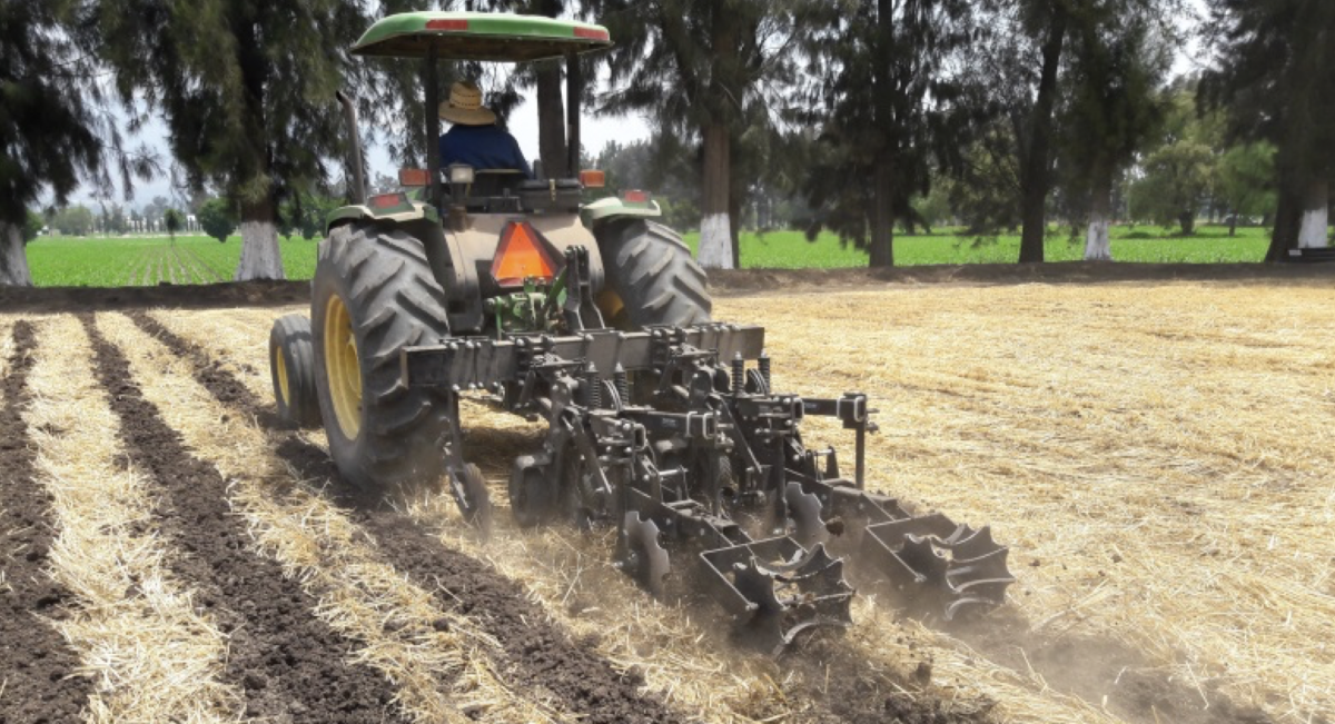 Tractorista haciendo labranza en líneas de siembra con el uso de striptill, previo a la siembra del cultivo de maíz, en la plataforma de investigación Francisco I. Madero, Hidalgo, 23 de abril 2018. (Foto: CIMMYT)