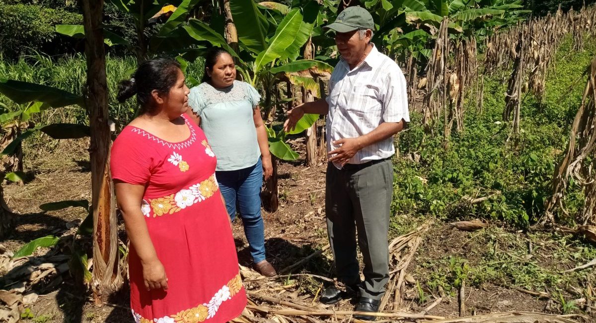 Agripina con personal técnico del Hub Pacífico Sur-CIMMYT. (Foto: CIMMYT)