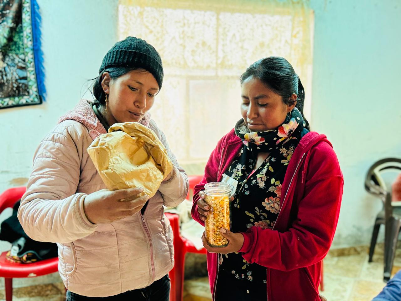 Mujeres productoras revisan semillas almacenadas en frascos herméticos, como parte de los aprendizajes sobre conservación segura y etiquetado en casas de semillas comunitarias. (Foto: Jessica González/CIMMYT)