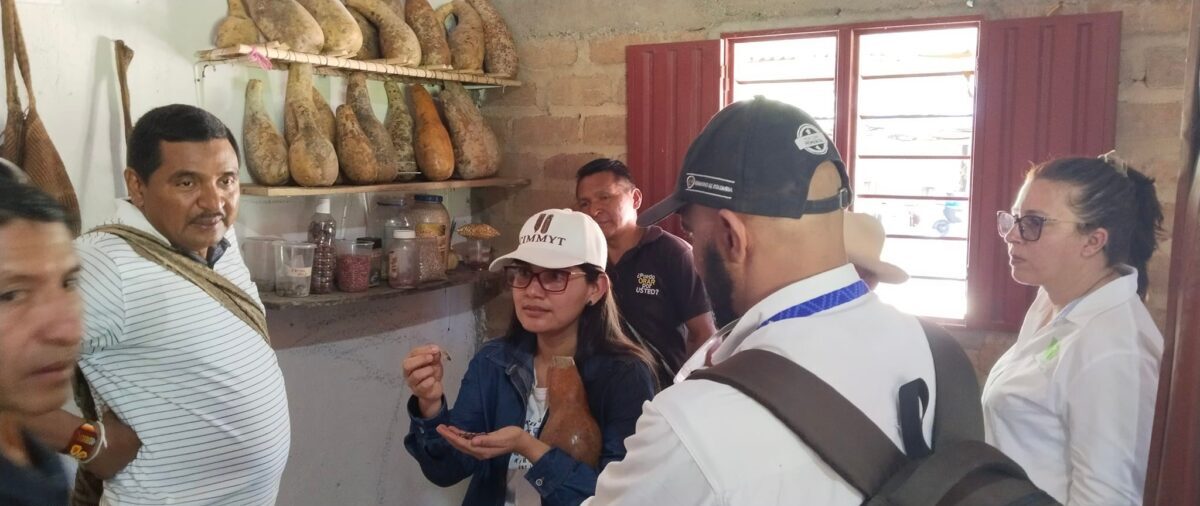 Jessica González, del Hub Valles Altos del CIMMYT, durante una visita comunitaria enfocada en prácticas de conservación y almacenamiento seguro de semillas. (Foto: CIMMYT)