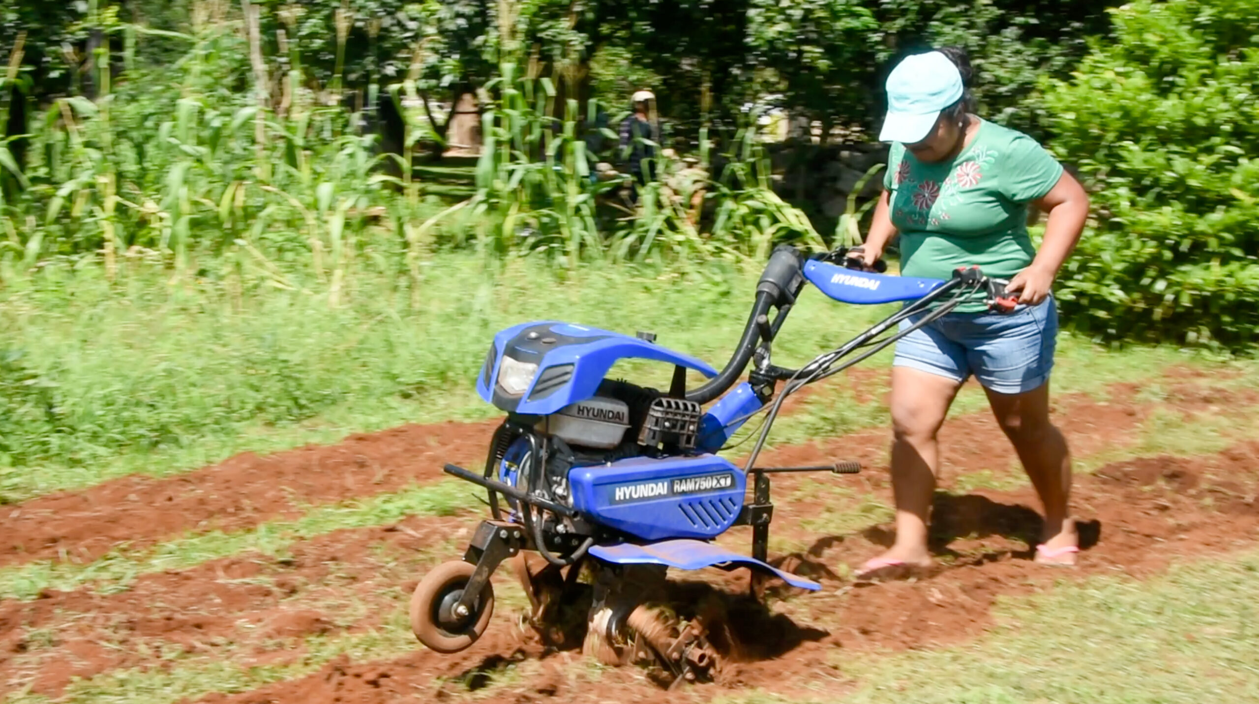 Equipos prácticos y fáciles de operar reducen el esfuerzo físico y hacen el trabajo en campo más accesible para mujeres y jóvenes. (Foto: Jenifer Morales/CIMMYT)