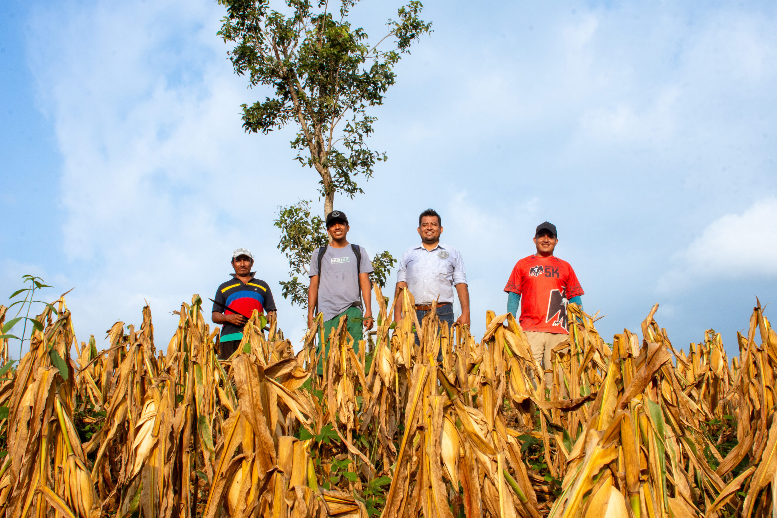 Invertir hoy en prácticas sostenibles fortalece la resiliencia del campo y asegura el bienestar de las futuras generaciones. (Foto: Sarah Martínez/CIMMYT)