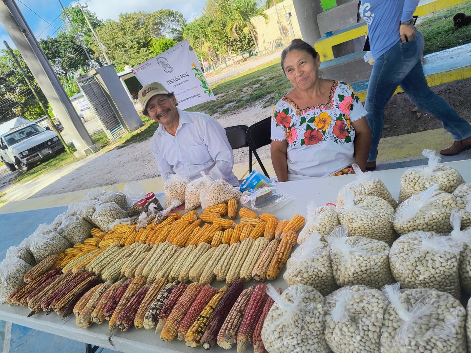 La venta de excedentes de semillas locales en ferias comunitarias puede fortalecer la sostenibilidad económica de las casas de semillas y revalorar el patrimonio agrícola de las comunidades. (Foto: Meliza Peña/CIMMYT)