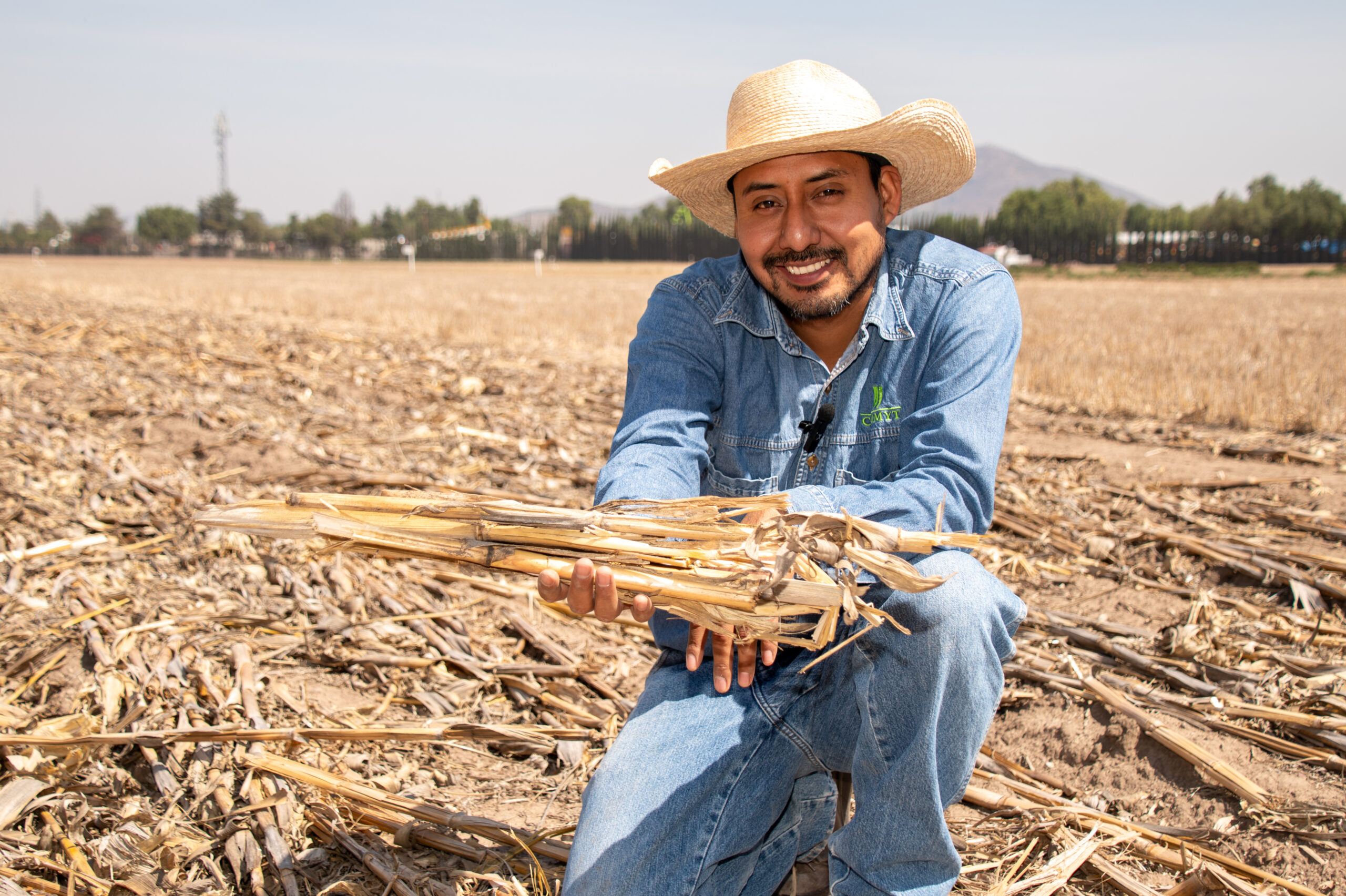 Abel Saldivia, coordinador de campo en la Estación Experimental El Batán, muestra rastrojo de maíz bien conservado en una parcela de Valles Altos. Dejar el rastrojo en campo es clave para cuidar el suelo y mejorar la productividad. (Foto: Francisco Alarcón/CIMMYT)