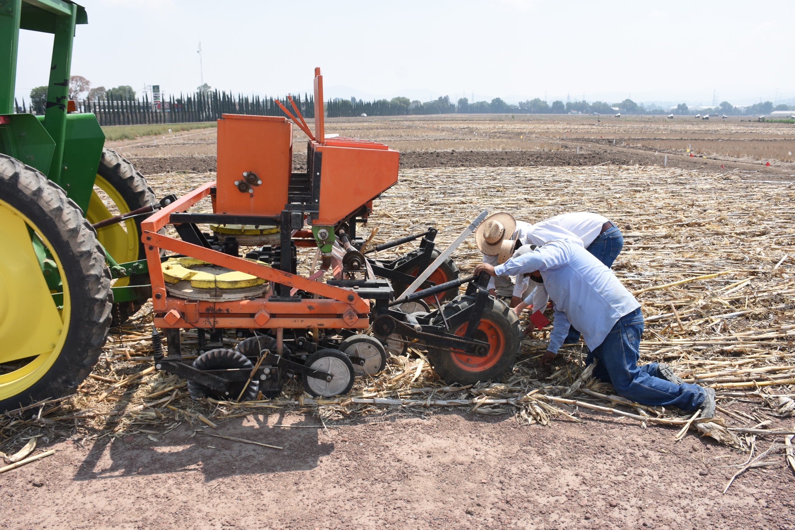 El uso de sembradoras adecuadas permite trabajar sobre rastrojo sin retirarlo del campo. Un buen ajuste del equipo es clave para asegurar una siembra eficiente en sistemas con cobertura. (Foto: Francisco Alarcón/CIMMYT)
