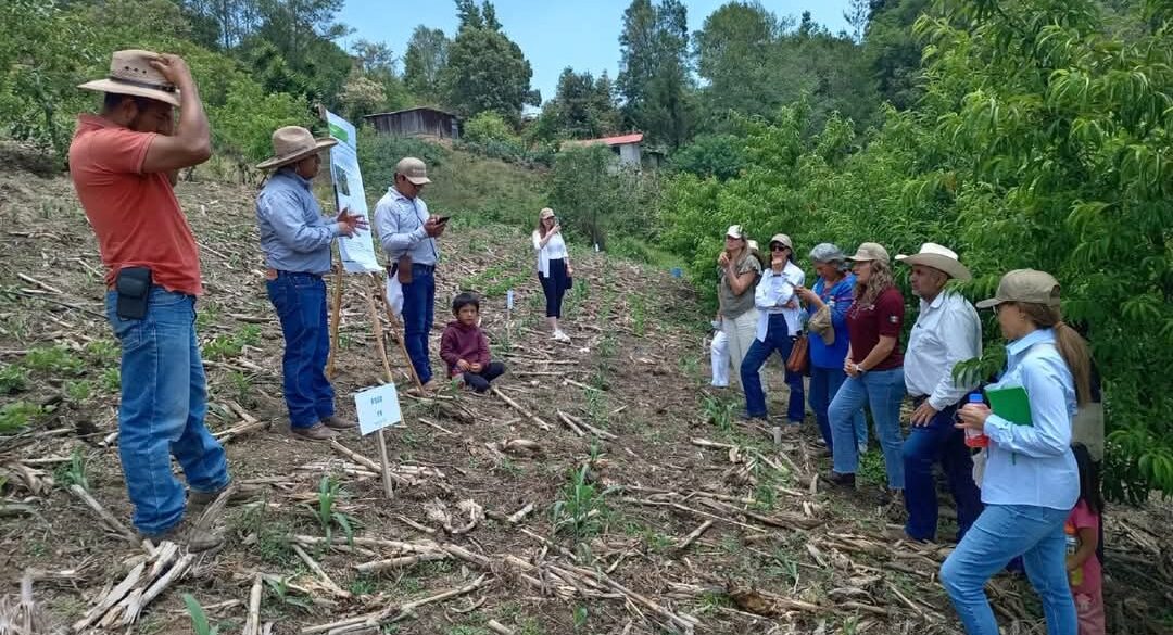 Visita de la embajadora de Noruega a plataforma de investigación en Chiapas. (Foto: CIMMYT)