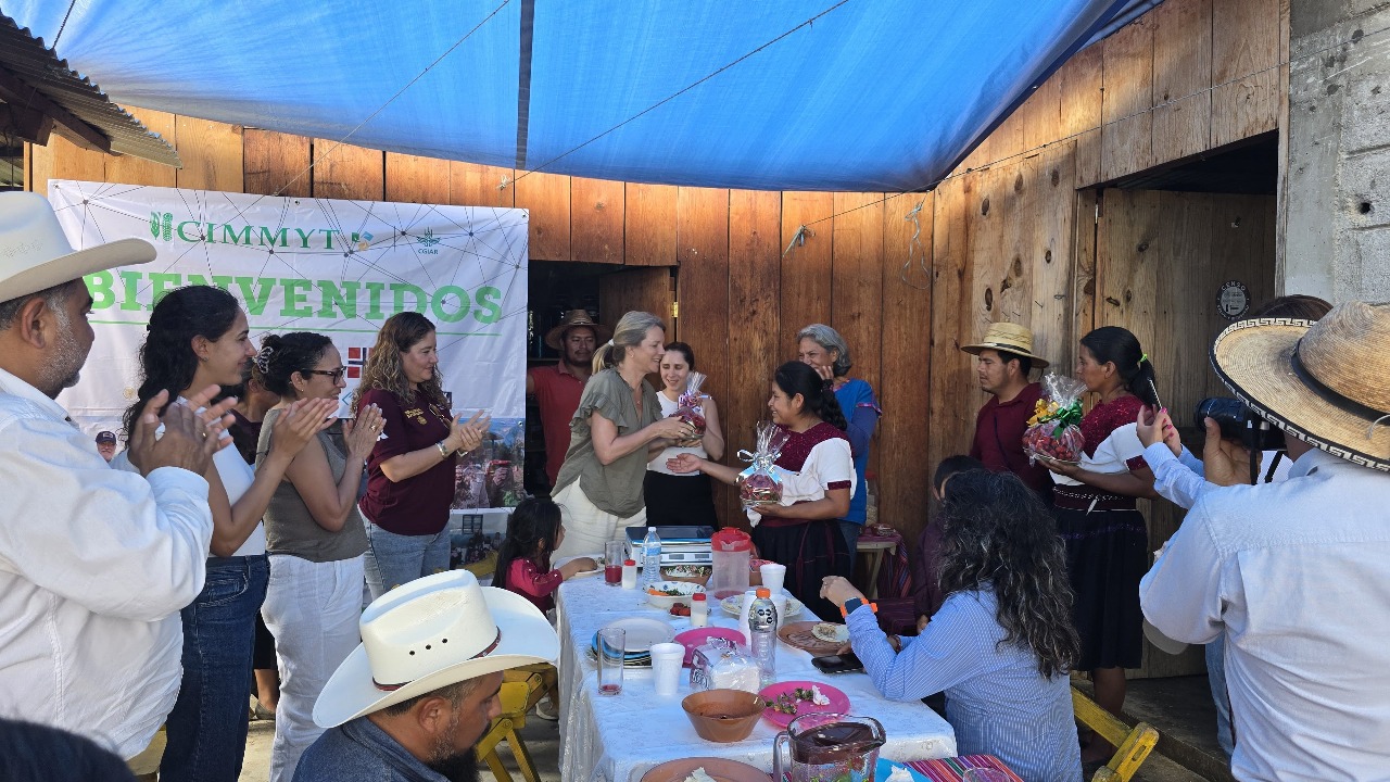 La embajadora Ragnhild Imerslund escuchó, de la voz de las productoras y productores, el impacto que han tenido las tecnologías sustentables en sus propias parcelas. (Foto: CIMMYT)