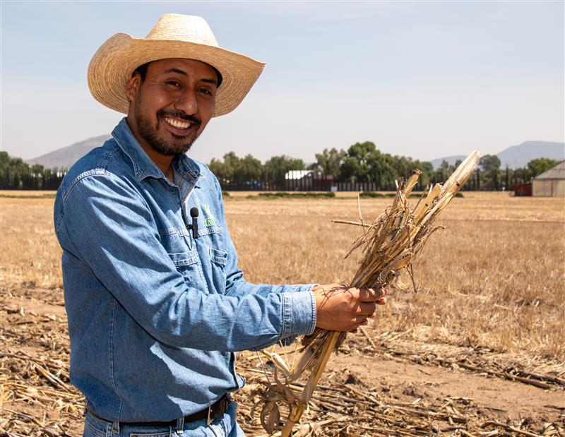Abel Saldivia, coordinador de campo en El Batán, ha documentado cómo la biodiversidad funcional —como la presencia de insectos benéficos— puede proteger los cultivos sin necesidad de insecticidas, gracias a prácticas como las franjas florales y el manejo agroecológico. (Foto: Francisco Alarcón/CIMMYT)