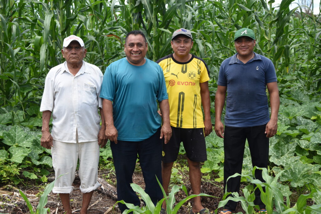 Don Alberto Cabil Pot (segundo desde la izquierda) junto a su padre y sus hijos, con quienes comparte el trabajo y el aprendizaje en la milpa del ejido Filomeno Mata. (Foto: Jenifer Morales/CIMMYT)