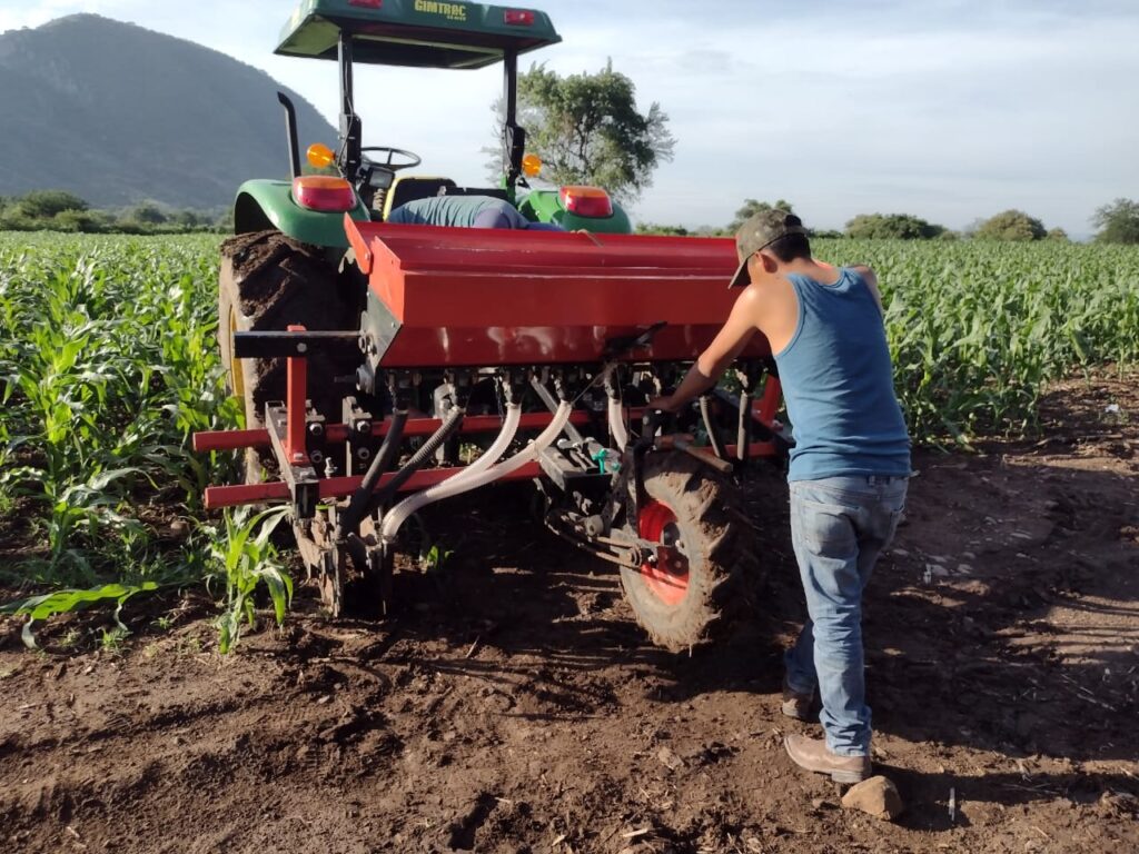 Ajuste manual del dosificador como parte del proceso de calibración en campo. (Foto: Gabriel Martínez/CIMMYT)